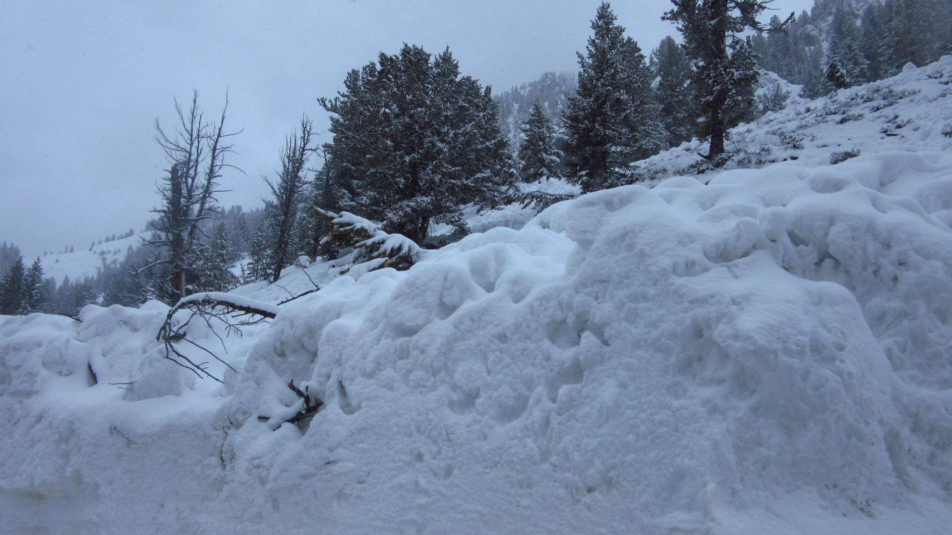 Debris 2